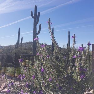 Meet your Posher, Channing